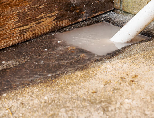 A Clogged Sewer Line Might Be Causing Your Plumbing Issues
